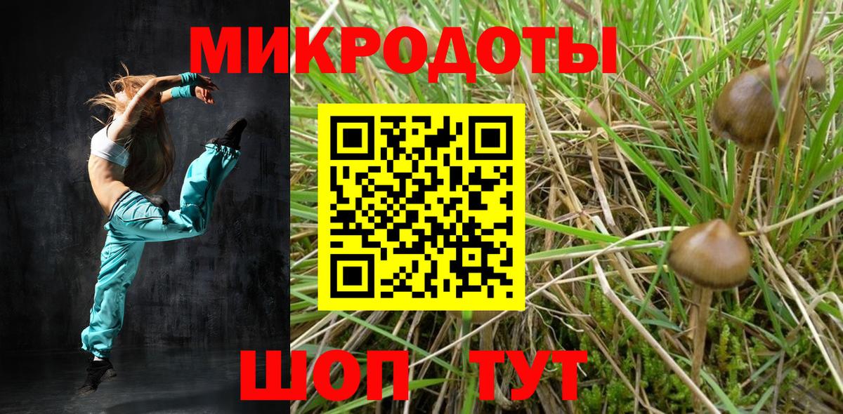 МЕФ Моршанск
