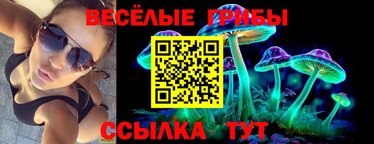 Галлюциногенные грибы GOLDEN TEACHER Моршанск