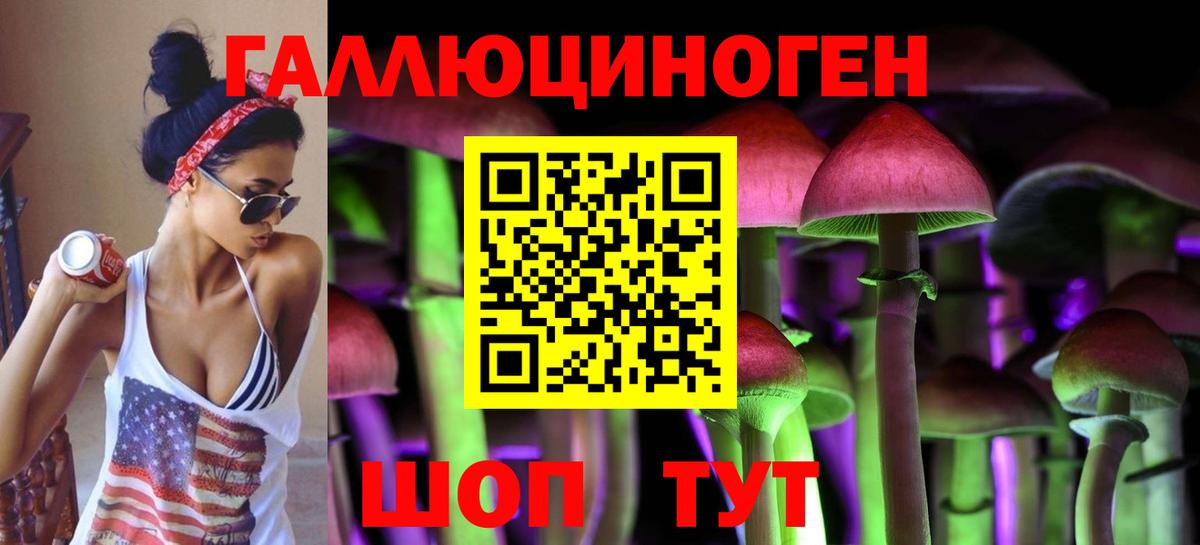 хочу   Псилоцибиновые грибы мухоморы  Вход с VPN  Моршанск 